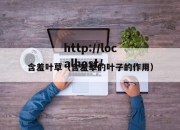 含羞叶草（含羞草的叶子的作用）