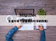 含羞叶草（含羞草的叶子的作用）