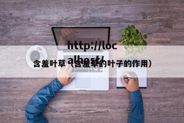 含羞叶草(含羞草的叶子的作用)